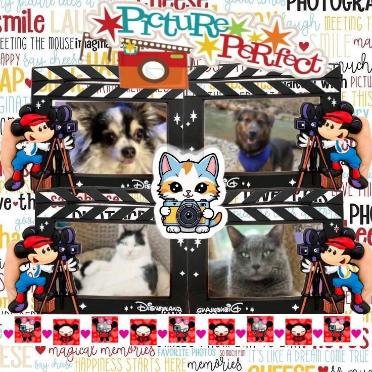 Zoey of the Jax family