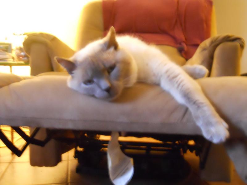 Jax uploaded   3 year/s ago