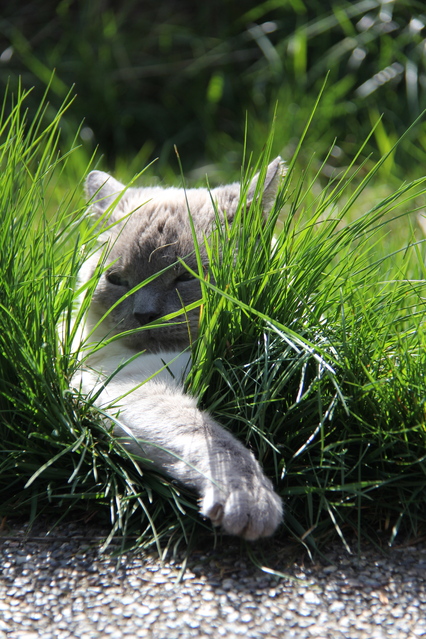 Jax uploaded   2 year/s ago