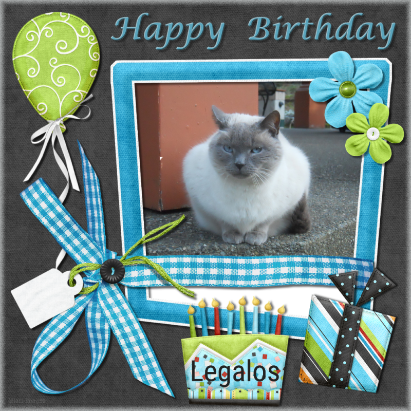 Legolas of the Jax family