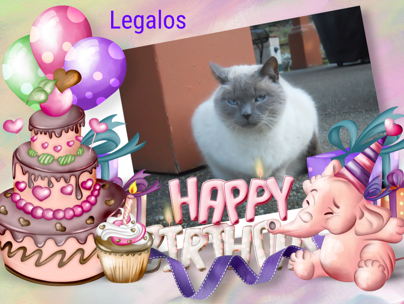 Legolas of the Jax family