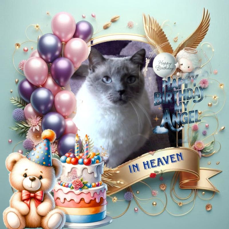 Legolas of the Jax family