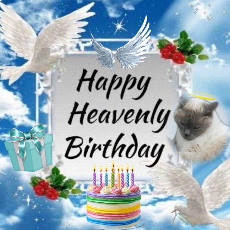 Legolas of the Jax family