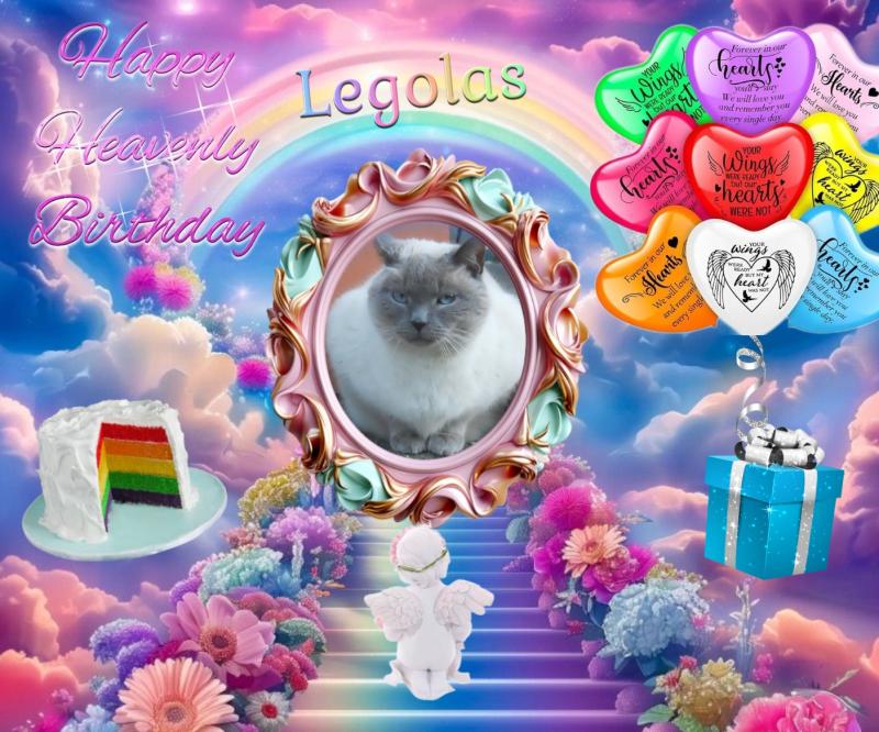 Legolas of the Jax family