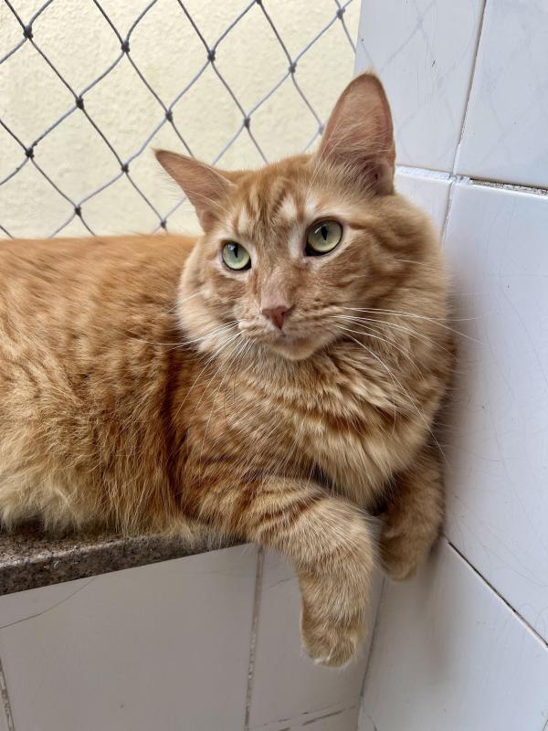 Kevin uploaded   1 year/s ago