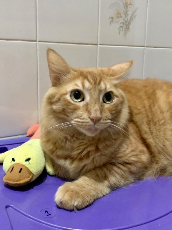 Kevin uploaded   1 year/s ago