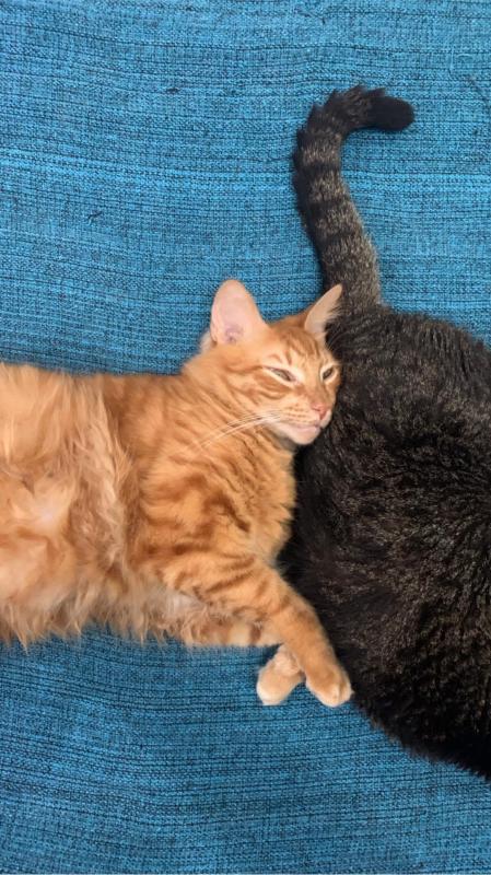 Kevin uploaded   1 year/s ago