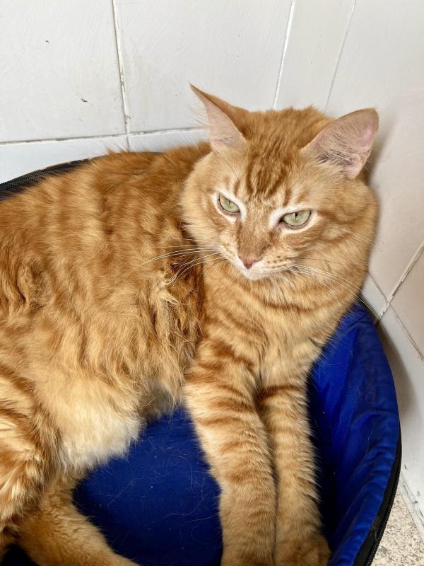 Kevin uploaded   1 year/s ago