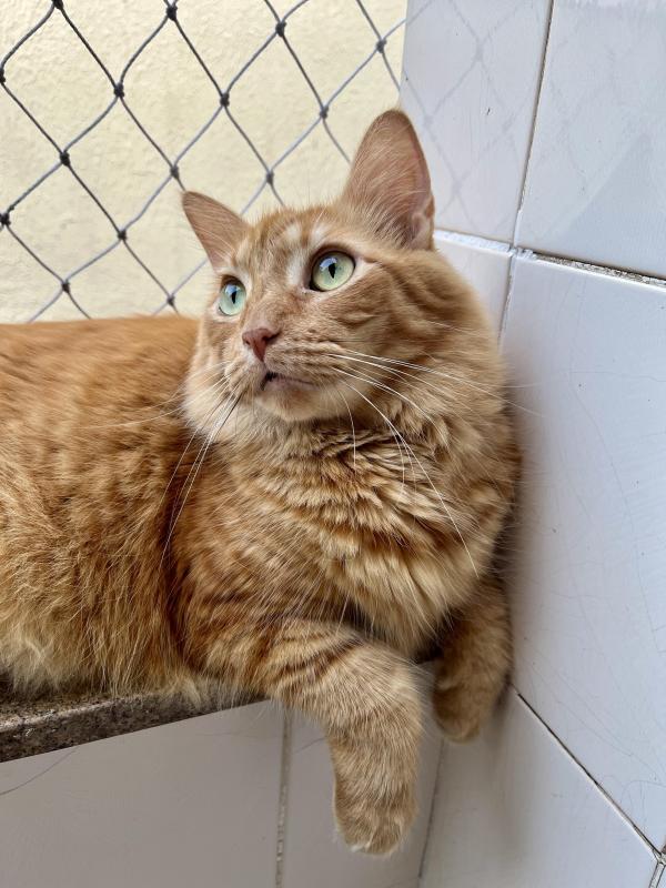 Kevin uploaded   1 year/s ago