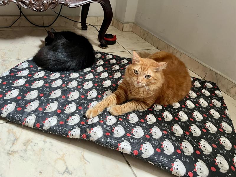 Kevin uploaded   1 year/s ago