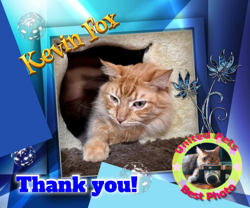 Kevin uploaded   2 year/s ago