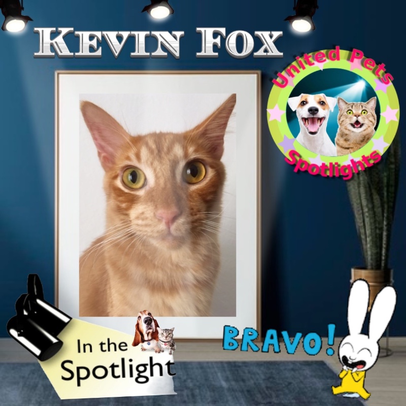 Kevin uploaded   2 year/s ago