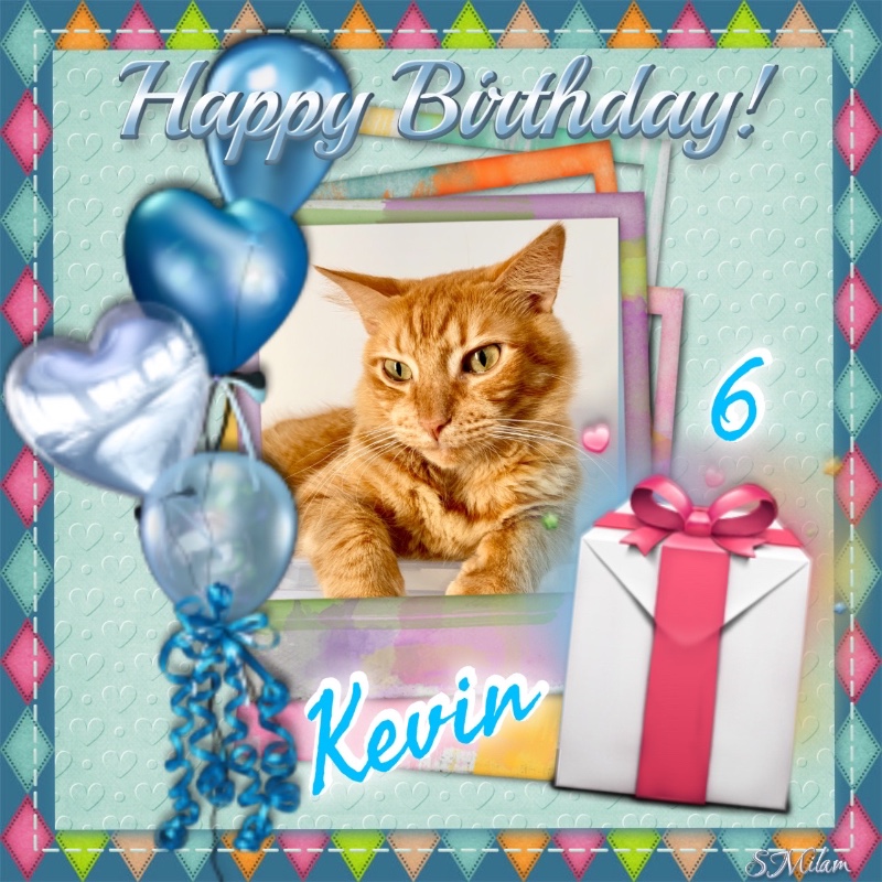 Kevin uploaded   2 year/s ago