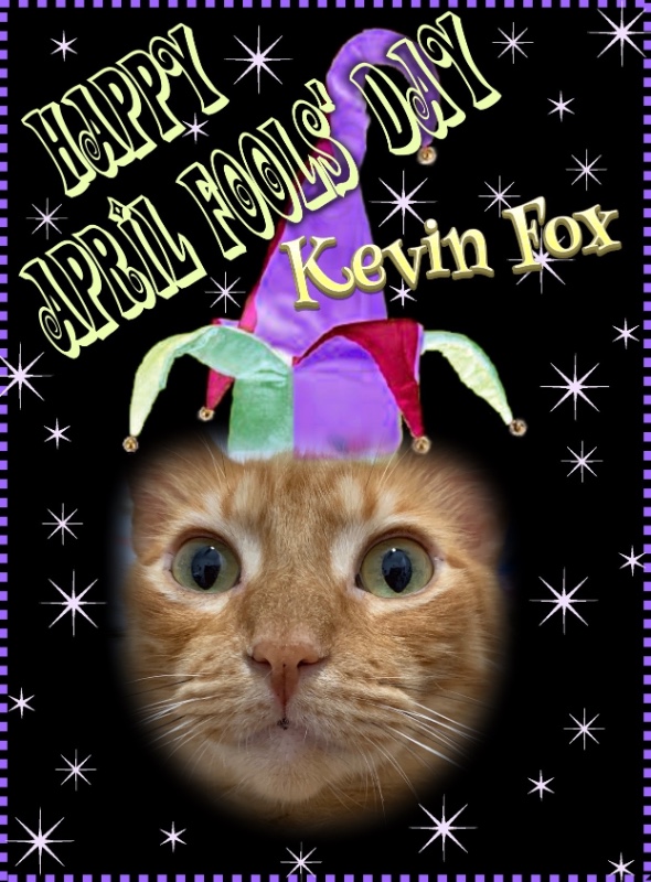Kevin uploaded   2 year/s ago