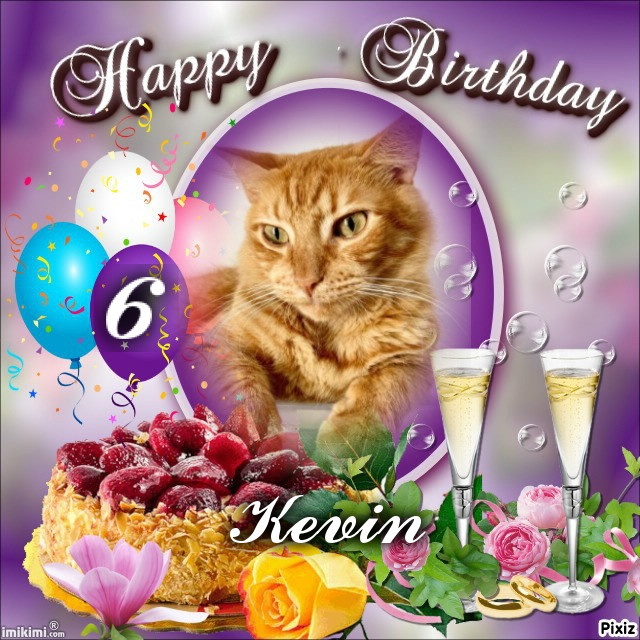 Kevin uploaded   2 year/s ago