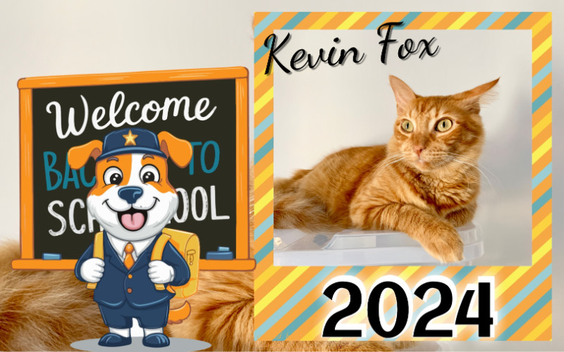 Kevin uploaded   1 year/s ago