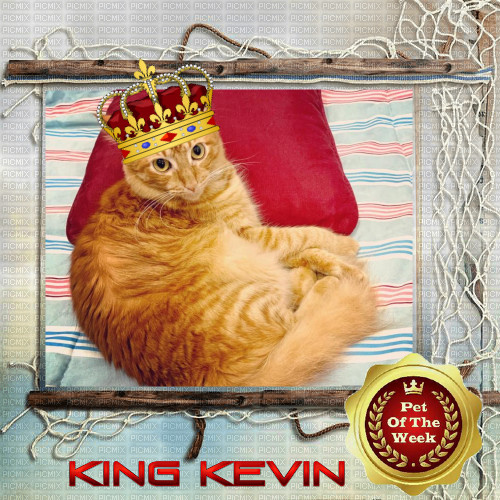 Kevin uploaded   2 year/s ago