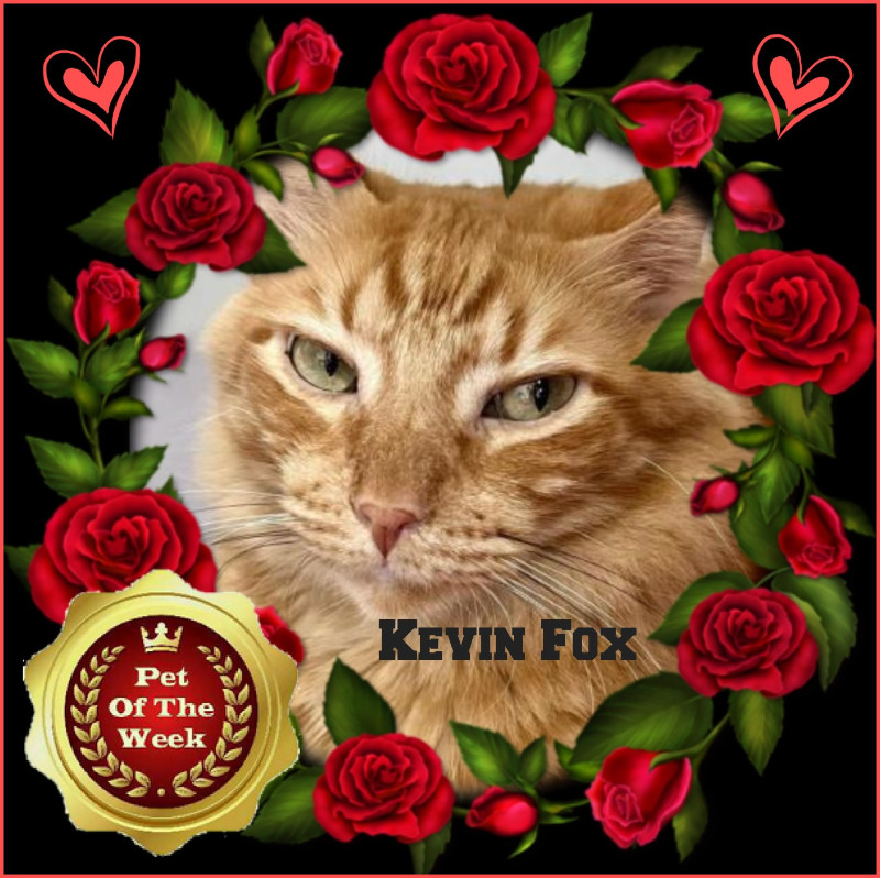 Kevin uploaded   2 year/s ago
