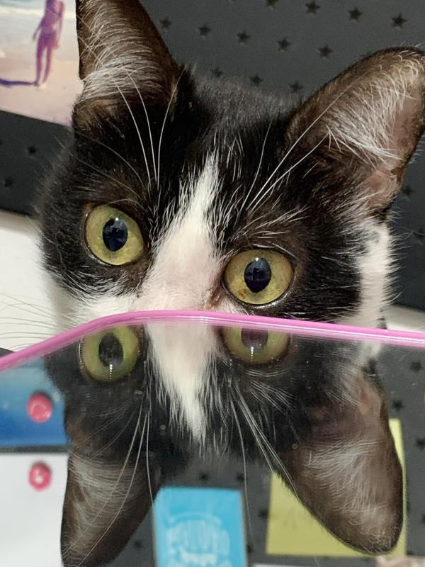 Kevin uploaded   1 year/s ago