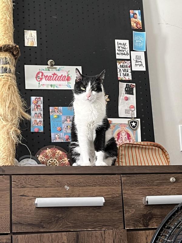 Maria of the Kevin family