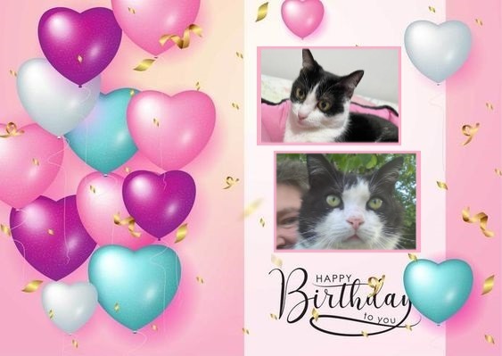 Maria OlÃ­via of the Kevin family