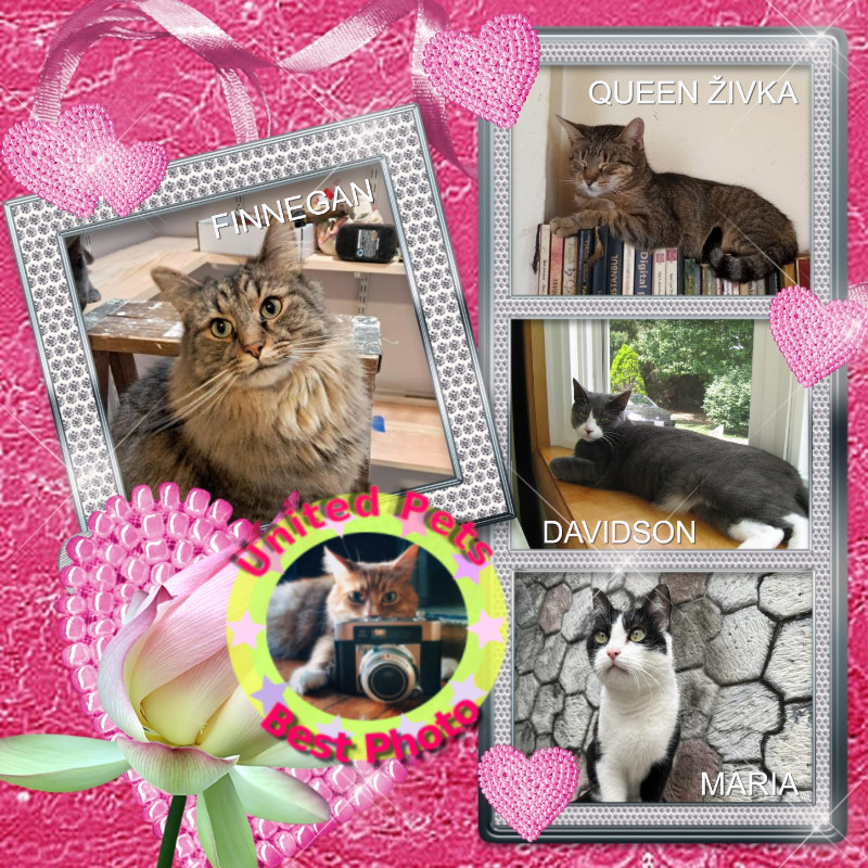 Maria OlÃ­via of the Kevin family