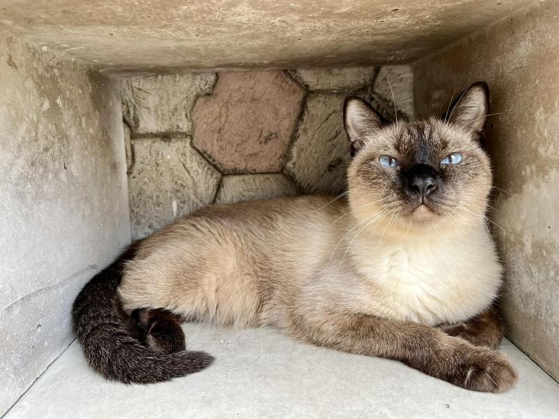 Kevin uploaded   1 year/s ago