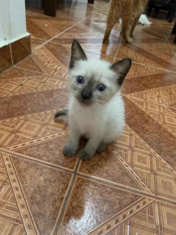 Kalynda of the Kevin family