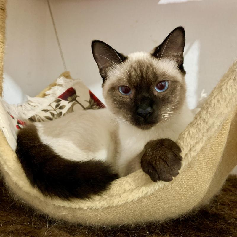 Kevin uploaded   1 year/s ago