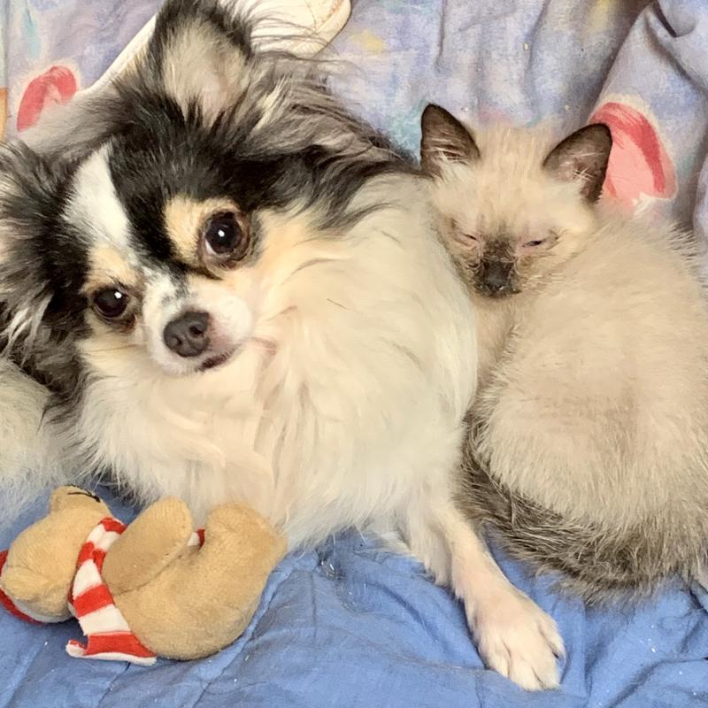 Kevin uploaded   1 year/s ago