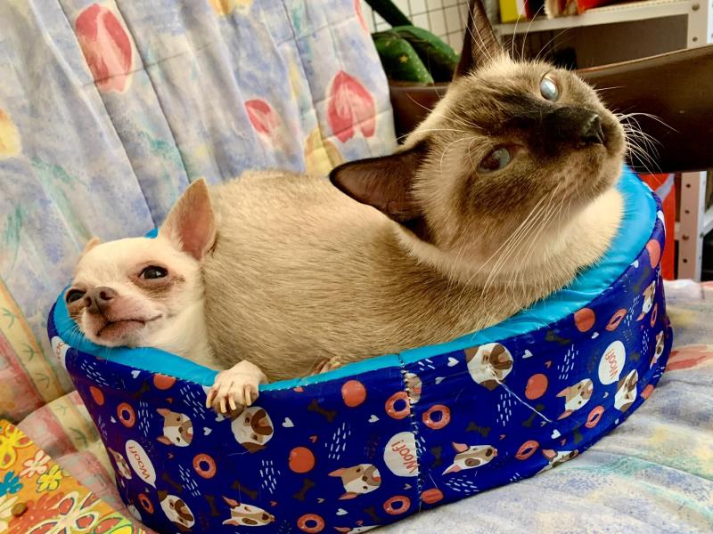 Kevin uploaded   1 year/s ago