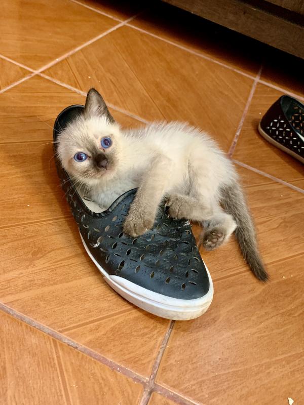 Kevin uploaded   1 year/s ago