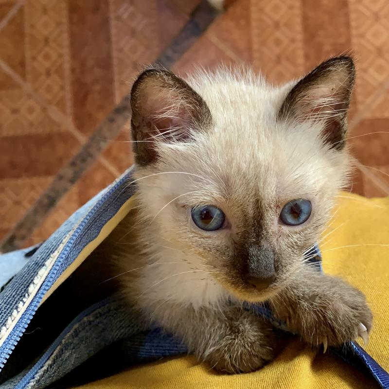 Kevin uploaded   1 year/s ago