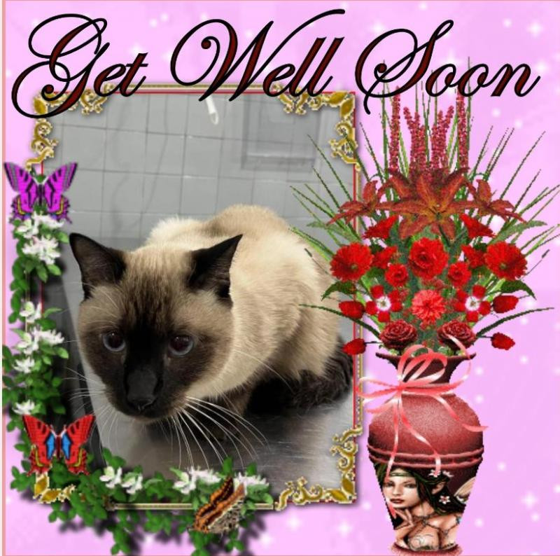 Kevin uploaded   2 year/s ago