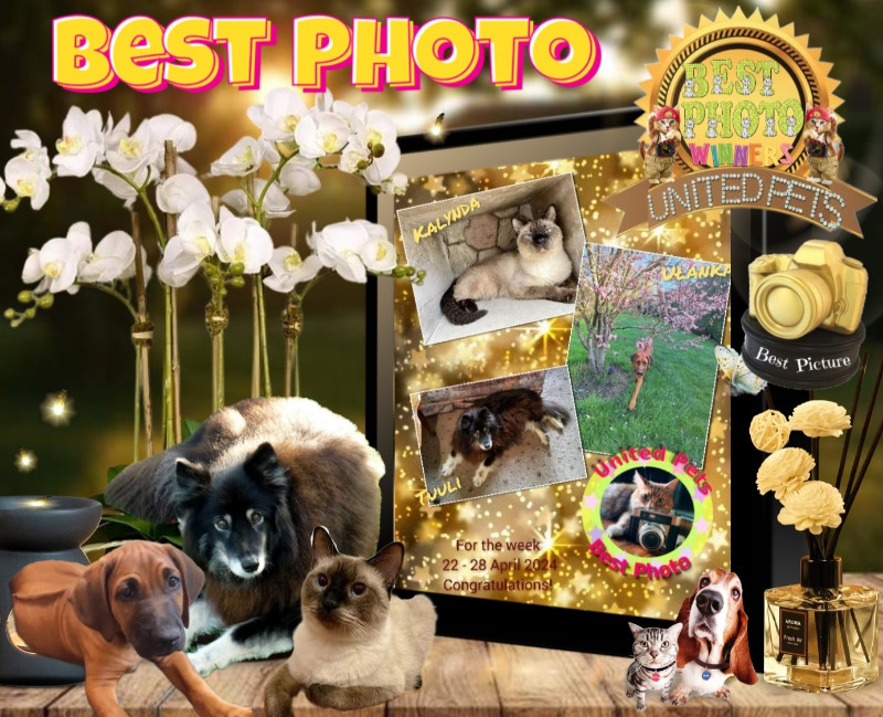 Kevin uploaded   2 year/s ago