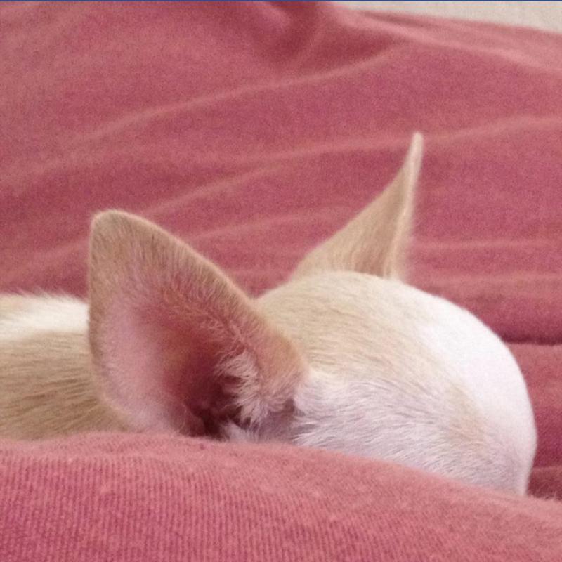 Kevin uploaded   2 year/s ago