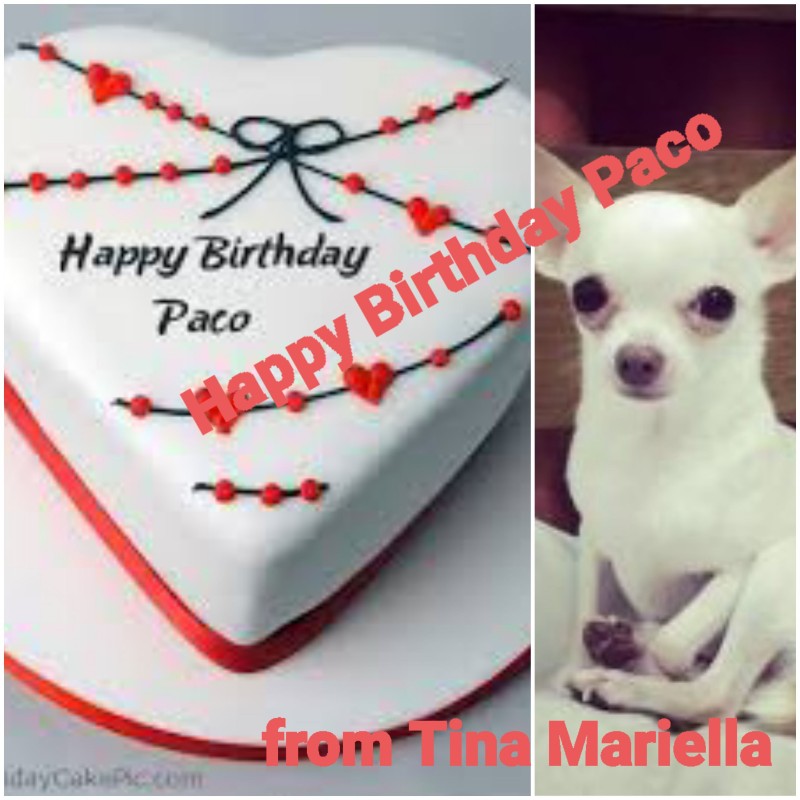 Paco of the Kevin family