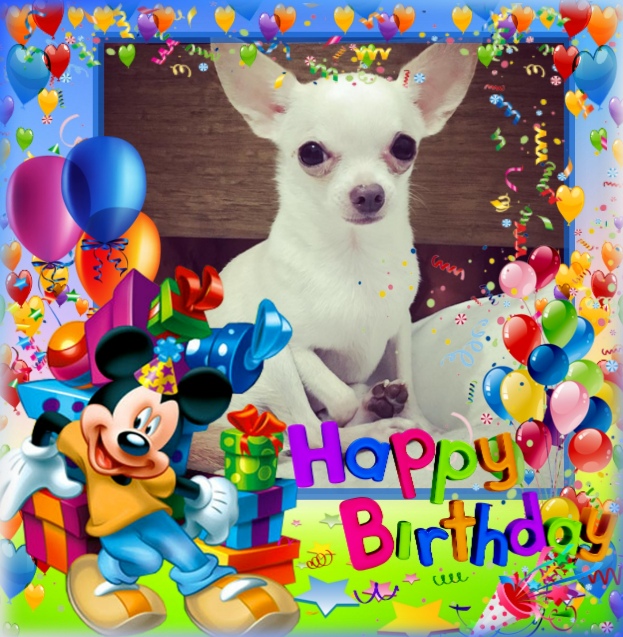 Paco of the Kevin family