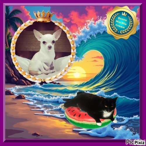 Paco of the Kevin family