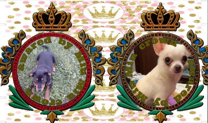 Paco of the Kevin family