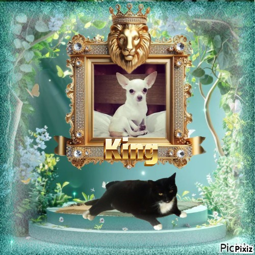 Paco of the Kevin family