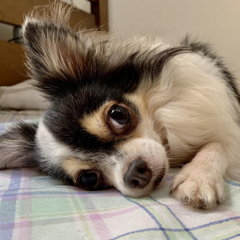 Kevin uploaded   1 year/s ago