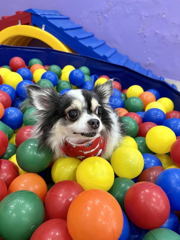 Kevin uploaded   1 year/s ago