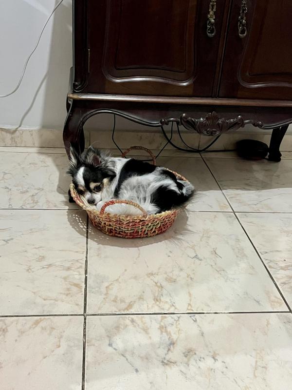 Kevin uploaded   1 year/s ago