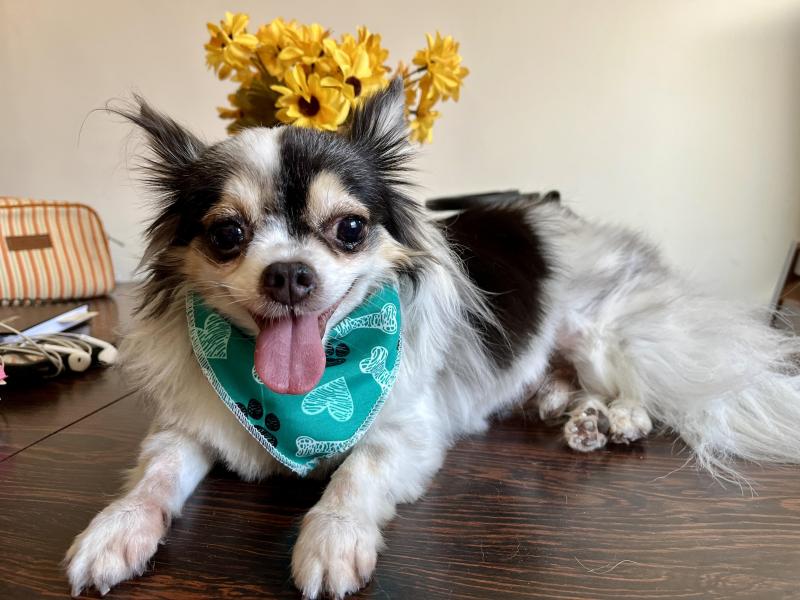 Kevin uploaded   1 year/s ago