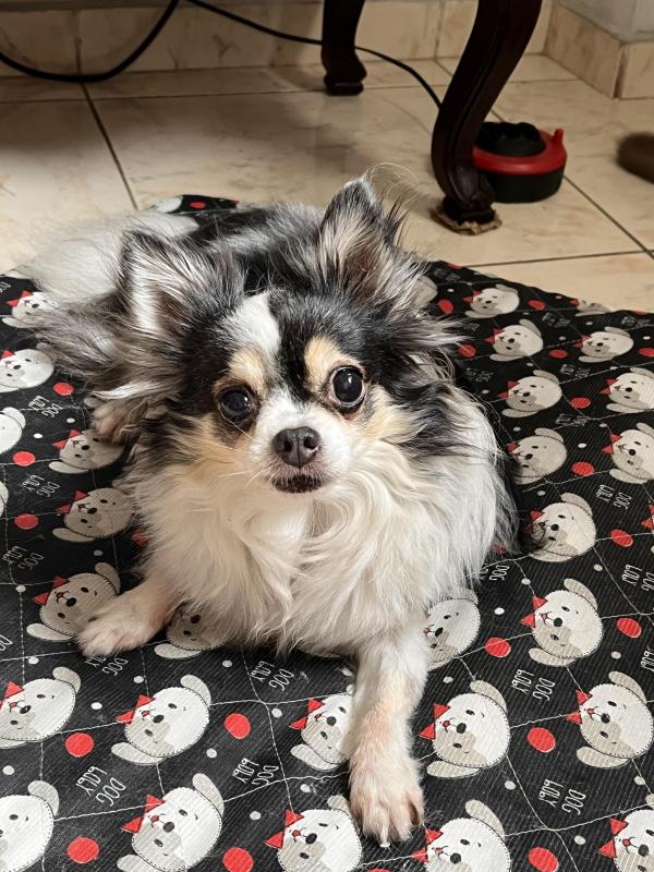 Kevin uploaded   1 year/s ago