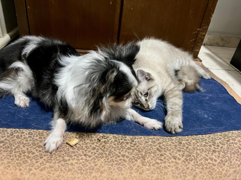 Kevin uploaded   364  day/s  ago