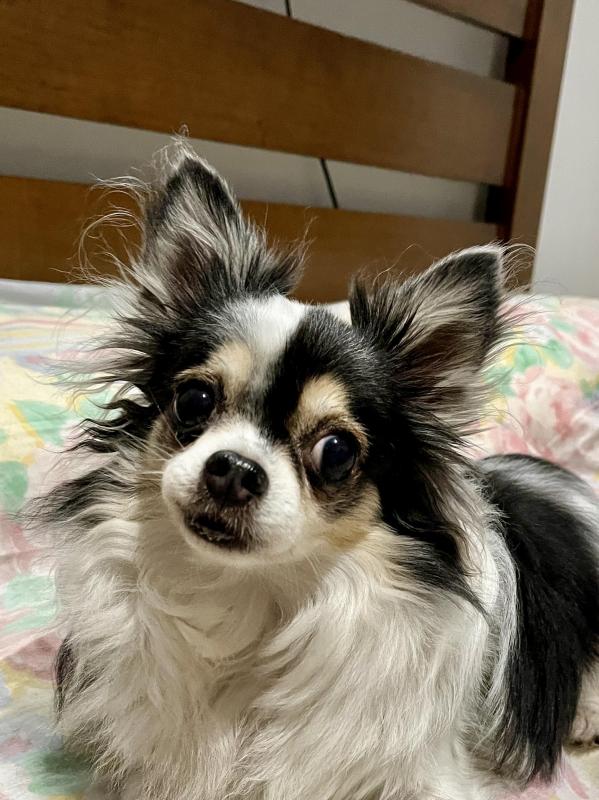 Kevin uploaded   351  day/s  ago