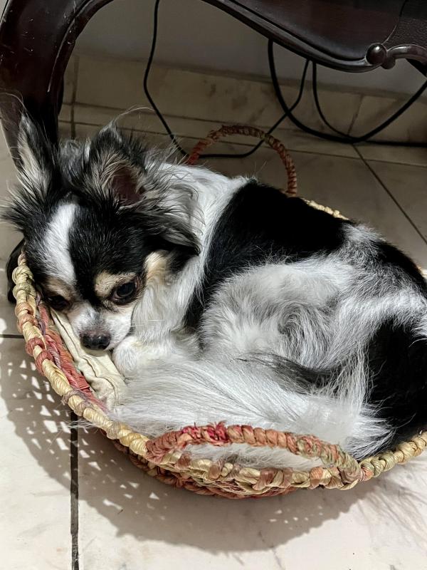 Kevin uploaded   1 year/s ago