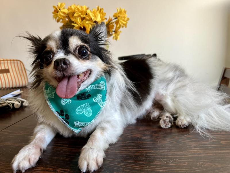 Kevin uploaded   1 year/s ago